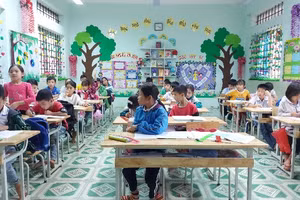 Trường Tiểu học Tân Đồng tại xã Đạo Trù (huyện Tam Đảo) - địa phương còn nhiều khó khăn về kinh tế nhưng cơ sở vật chất của nhà trường đã được đầu tư đáp ứng nhu cầu dạy và học. Ảnh tư liệu