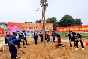 Lãnh đạo Sở GD&ĐT trồng cây tại Trường Phổ thông dân tốc nội trú tỉnh Phú Thọ.