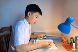 Tô Lê Hải Thủ khoa Trường Đại học Dược Hà Nội