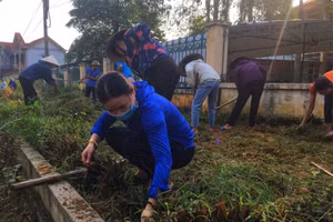 Trường học tại Tuyên Quang tích cực chuẩn bị cho năm học mới. Ảnh: Sở GD&ĐT Tuyên Quang