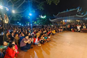 Lễ hội Linh tinh tình phộc năm 2024 sẽ có nhiều thay đổi.