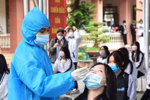 Ngành y tế lấy mẫu xét nghiệm cho học sinh tại Trường THPT Chuyên Tuyên Quang. Ảnh: Nguyễn Hoàng.