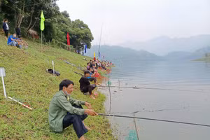 Các cần thủ kiên trì đợi cá mắc câu.