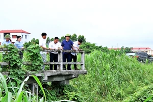 Chủ tịch UBND huyện Hoàng Long Biên kiểm tra thực tế luồng tiêu Cầu Đền, xã Bắc Bình.