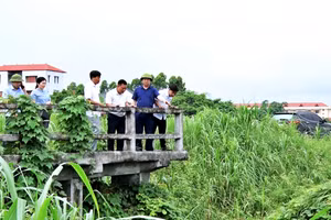 Chủ tịch UBND huyện Hoàng Long Biên kiểm tra thực tế luồng tiêu Cầu Đền, xã Bắc Bình.