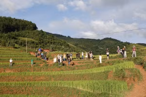 Khách du lịch đến Yên Bái đang có xu hướng tăng cao, nhất là khách nước ngoài.