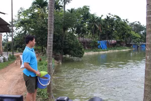 Những mô hình chăn nuôi mang lại hiệu quả kinh tế cho người dân huyện Vĩnh Tường.