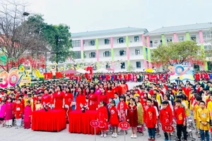 Học sinh trường Tiểu học Tân Dân (TP Việt Trì) đoạt được: 38 giải; trong đó: 10 giải Nhất; 15 giải Nhì; 13 giải Ba.