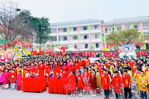 Học sinh trường Tiểu học Tân Dân (TP Việt Trì) đoạt được: 38 giải; trong đó: 10 giải Nhất; 15 giải Nhì; 13 giải Ba.