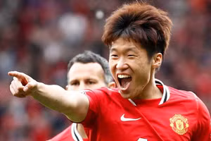 Park Ji-sung tiến cử một loạt ngôi sao người Hàn Quốc cho Man United.