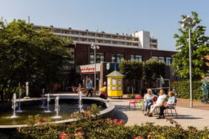 Làng Hogewey với không gian thoáng đãng.