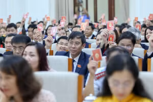 Các đại biểu biểu quyết