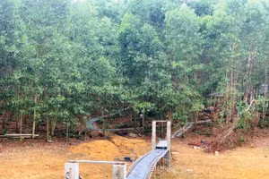 Công trình cầu đang được thi công xây dựng tại khu vực này.