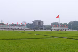 Quảng trường Ba Đình ngày nay. Ảnh: TTXVN
