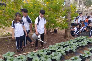 Học sinh Trường THPT Trung An, huyện Cờ Đỏ (TP Cần Thơ) chăm sóc vườn rau hạnh phúc. Ảnh tư liệu