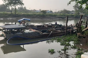 Vĩnh Long bắt 2 ghe khai thác cát trái phép trên sông Cổ Chiên.