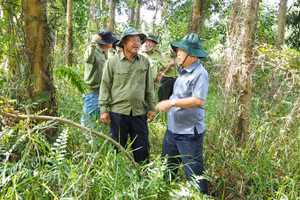 Đoàn công tác kiểm tra một số khu vực rừng khô (ảnh CTTĐT Cà Mau).