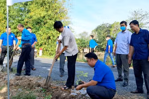 Thanh niên An Giang trồng hơn 8.000 cây xanh sau lễ phát động.