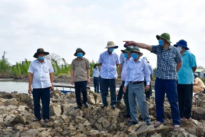 Đoàn khảo sát thực tế tuyến đê biển Tiểu Dừa thuộc xã Vân Khánh Tây, huyện An Minh (ảnh Cổng TTĐT Kiên Giang).