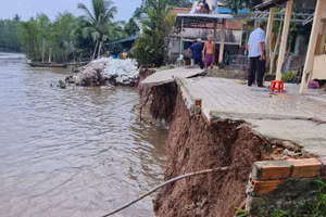 Sạt lở bờ sông nghiêm trọng tại Trà Ôn.