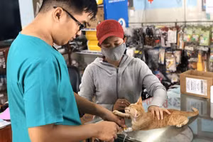 Trường Đại học An Giang công bố Quyết định mở và xét tuyển sinh ngành đào tạo trình độ đại học hình thức đào tạo chính quy mới – ngành Thú y. ảnh minh hoạ (nguồn internet)