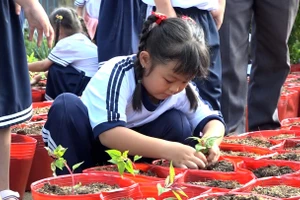 Học sinh Tp Sa Đéc trồng hoa hưởng ứng Festival Hoa - Kiểng lần đầu tiên