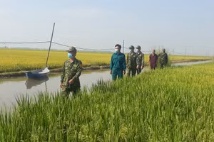 Hình ảnh chiến sĩ tuần tra biên giới (ẢNH CTTĐT An Giang).