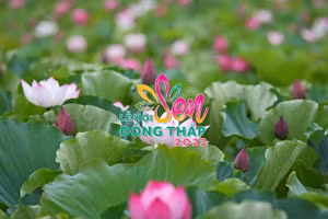 Ảnh tuyên truyền Lễ hội Sen Đồng Tháp lần thứ I, năm 2022