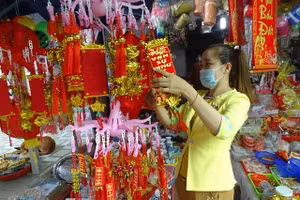 Ảnh minh hoạ (cổng TTĐT Cà Mau).