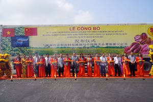 Các đại biểu thực hiện nghi thức cắt băng xuất phát chuyến hàng khoai lang chính ngạch đầu tiên sang Trung Quốc.