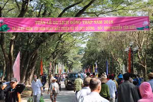 Lễ hội Gò Tháp được tổ chức hàng năm thu hút rất đông người dân và du khách (Ảnh tư liệu)