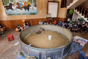 Công an triệt phá ổ đánh bạc dưới hình thức đá gà. Ảnh: Công an.