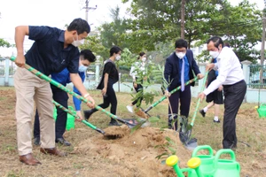 Đại học Đà Nẵng ra quân trồng cây “Đời đời nhớ ơn Bác Hồ”.