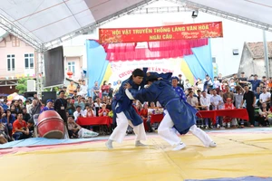 Hội làng Ngãi Cầu không thể thiếu bộ môn Vật dân tộc, trong đó có nghi thức Vật thờ trước cửa Đình. 