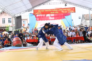 Hội làng Ngãi Cầu không thể thiếu bộ môn Vật dân tộc, trong đó có nghi thức Vật thờ trước cửa Đình. 