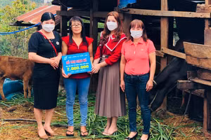 Ngoài hỗ trợ vốn vay 10 triệu đồng, Hội LHPN xã Đắk Lao còn trao tặng 2 triệu đồng cho gia đình chị Hải để phát triển kinh tế.