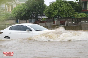 Xe ô tô lưu thông trên đại lộ Vinh - Cửa Lò (Nghệ An) vào sáng nay.