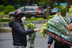 Hoa loa kèn đầu mua cho dù giá khá cao, nhưng nhiều người dân vẫn sẵn sàng mua về chơi sớm.