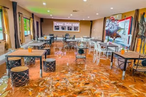 Quán cà phê cá Koi có một không hai ở Thái Lan