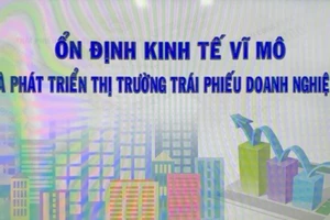 Cổng Thông tin điện tử Chính phủ tổ chức Tọa đàm trực tuyến với chủ đề "Ổn định kinh tế vĩ mô và Phát triển thị trường trái phiếu doanh nghiệp".