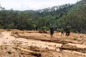 Hiện trường bị san phẳng ở khu vực Trạm bảo vệ rừng 67. 