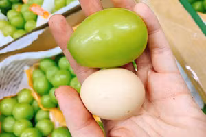 Có gì đặc biệt ở chùm nho khổng lồ, quả to hơn cả trứng gà?