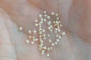 Kỳ lạ bãi biển có những hạt cát hình ngôi sao 