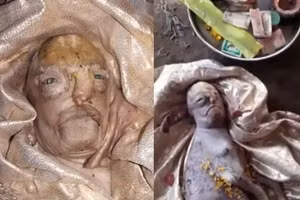 Hình ảnh cừu mặt người.