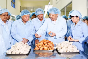 Bộ trưởng Bộ Nông nghiệp và Phát triển nông thôn Nguyễn Xuân Cường và Bí thư Tỉnh ủy Nguyễn Khắc Định thăm Công ty TNHH Nhà nước Một thành viên Yến sào Khánh Hòa. Ảnh tư liệu