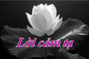 Lời cảm ơn