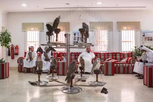 Bệnh viện cao cấp dành cho chim ưng, thú cưng của giới nhà giàu 