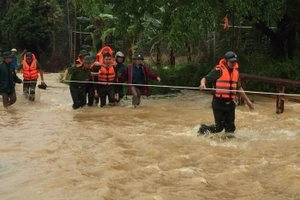 Mưa lớn ở Phú Thọ gây thiệt hại lớn về người và của.