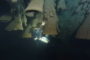 Bí ẩn hang động chứa đầy "chuông tử thần" ở Mexico.