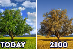 Những thay đổi có thể khiến thế giới không thể nhận ra vào năm 2100
